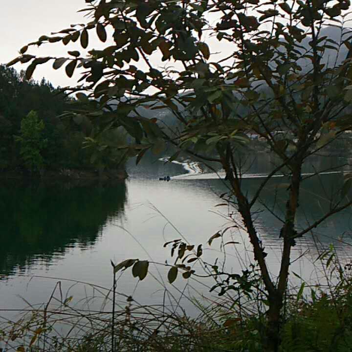 mmexport1489228683522.jpg